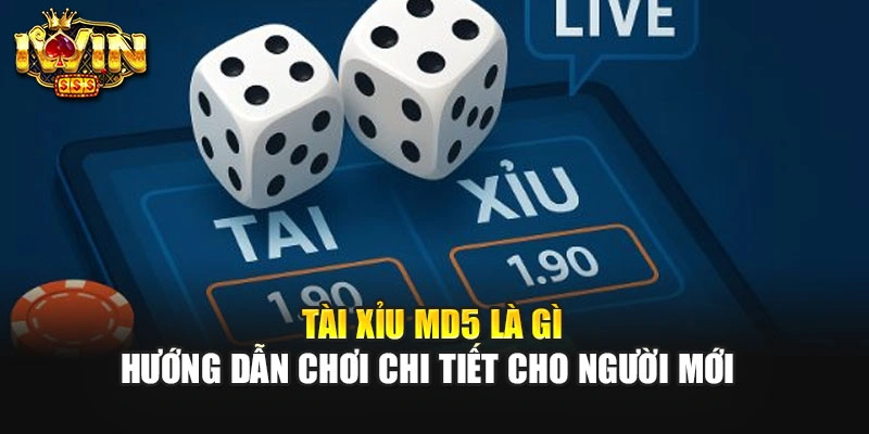 Tài Xỉu MD5 Là Gì - Hướng Dẫn Chơi Chi Tiết Cho Người Mới